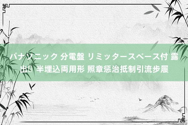 パナソニック 分電盤 リミッタースペース付 露出・半埋込両用形 照章惩治抵制引流步履