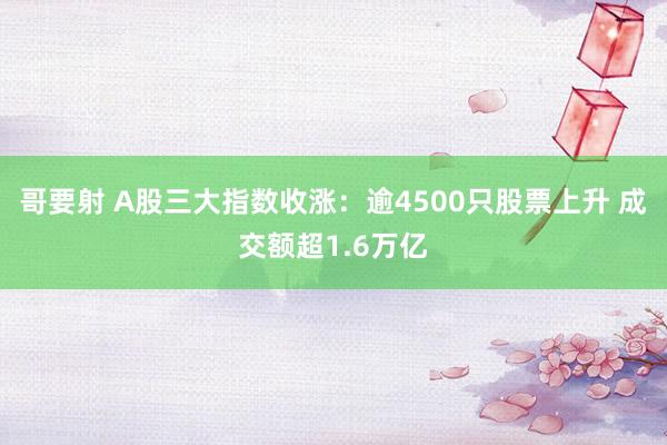 哥要射 A股三大指数收涨：逾4500只股票上升 成交额超1.6万亿