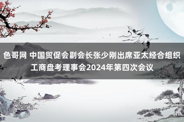 色哥网 中国贸促会副会长张少刚出席亚太经合组织工商盘考理事会2024年第四次会议