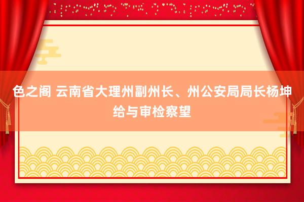 色之阁 云南省大理州副州长、州公安局局长杨坤给与审检察望