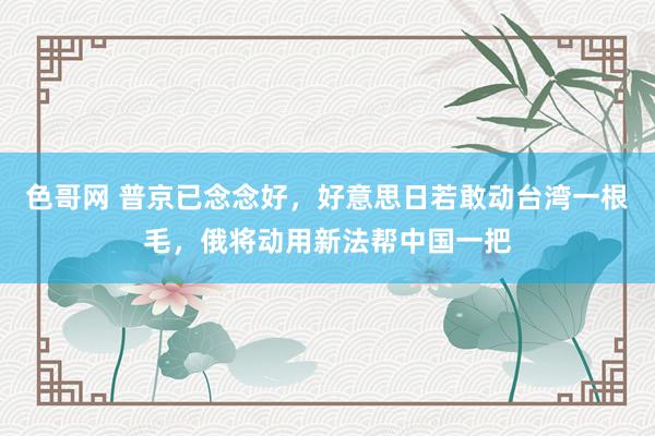 色哥网 普京已念念好，好意思日若敢动台湾一根毛，俄将动用新法帮中国一把