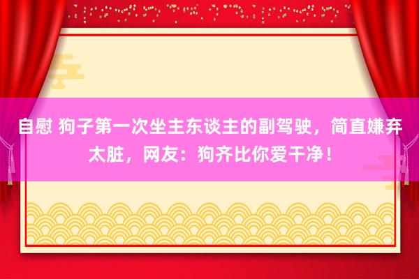 自慰 狗子第一次坐主东谈主的副驾驶，简直嫌弃太脏，网友：狗齐比你爱干净！