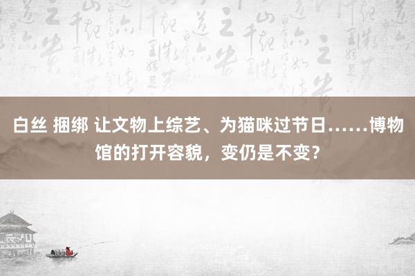 白丝 捆绑 让文物上综艺、为猫咪过节日……博物馆的打开容貌，变仍是不变？