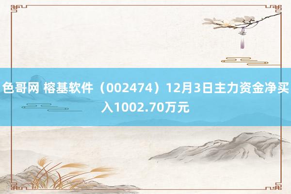 色哥网 榕基软件（002474）12月3日主力资金净买入1002.70万元