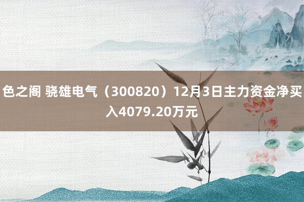 色之阁 骁雄电气（300820）12月3日主力资金净买入4079.20万元