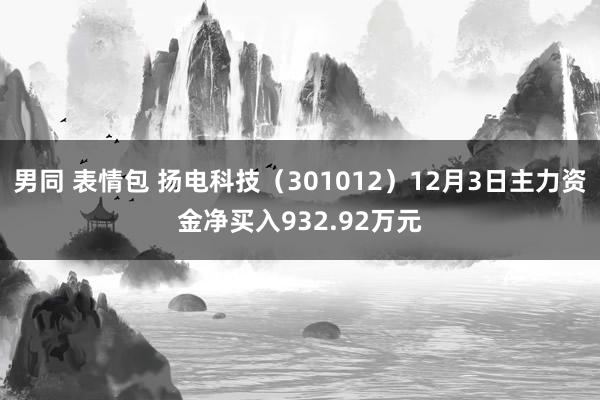 男同 表情包 扬电科技（301012）12月3日主力资金净买入932.92万元