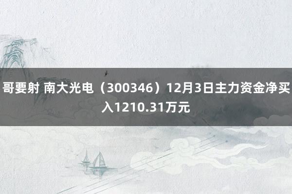 哥要射 南大光电（300346）12月3日主力资金净买入1210.31万元