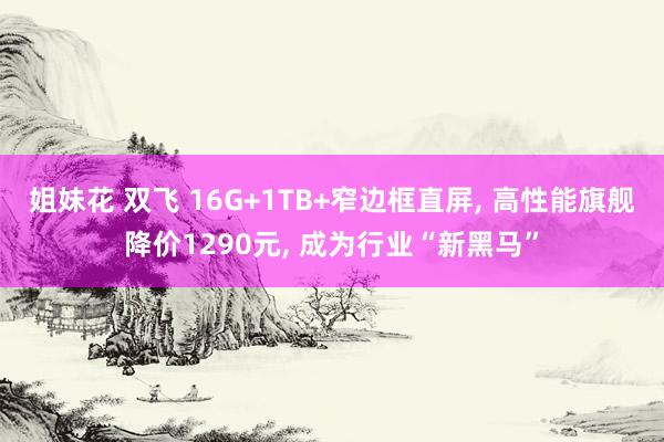 姐妹花 双飞 16G+1TB+窄边框直屏, 高性能旗舰降价1290元, 成为行业“新黑马”