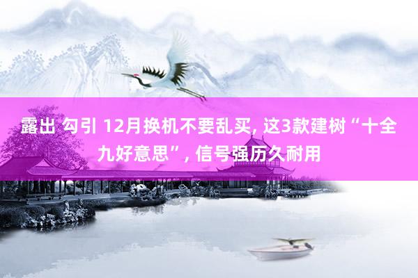 露出 勾引 12月换机不要乱买, 这3款建树“十全九好意思”, 信号强历久耐用