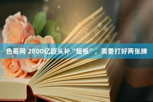 色哥网 2800亿巨头补“短板”，需要打好两张牌