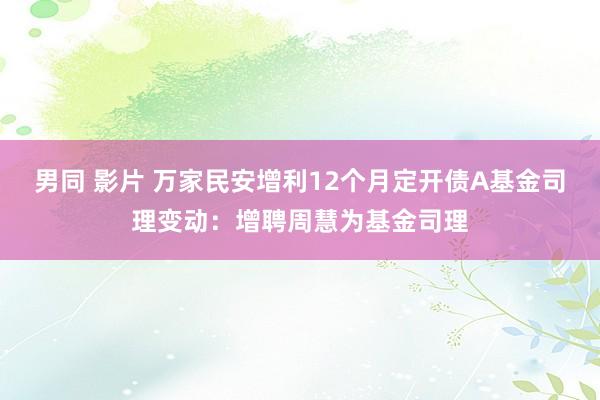 男同 影片 万家民安增利12个月定开债A基金司理变动：增聘周慧为基金司理