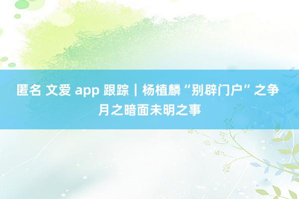 匿名 文爱 app 跟踪｜杨植麟“别辟门户”之争 月之暗面未明之事