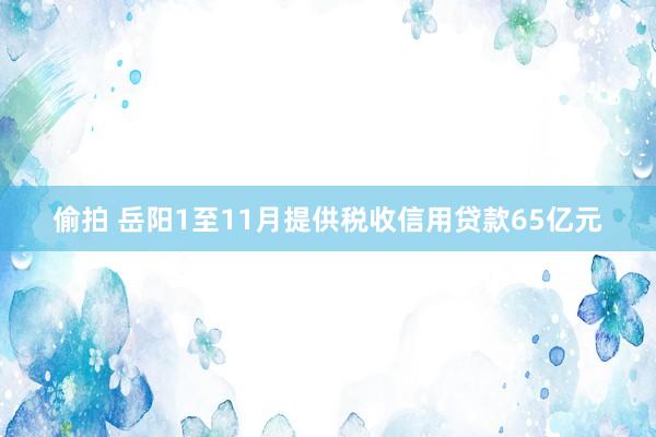 偷拍 岳阳1至11月提供税收信用贷款65亿元