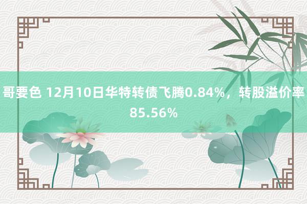 哥要色 12月10日华特转债飞腾0.84%，转股溢价率85.56%