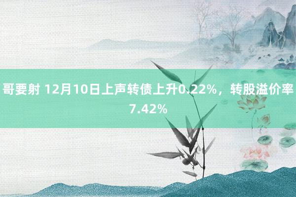 哥要射 12月10日上声转债上升0.22%，转股溢价率7.42%