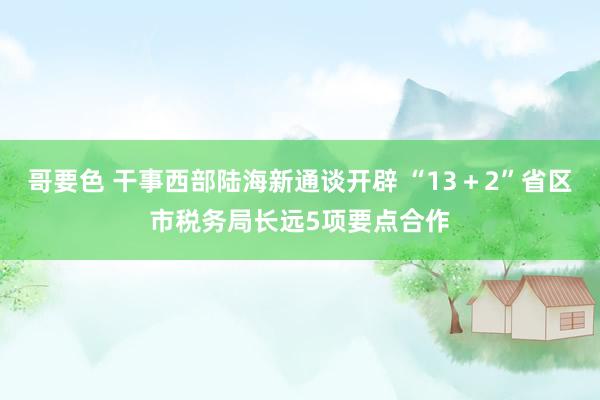 哥要色 干事西部陆海新通谈开辟 “13＋2”省区市税务局长远5项要点合作