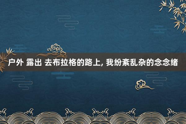 户外 露出 去布拉格的路上, 我纷紊乱杂的念念绪