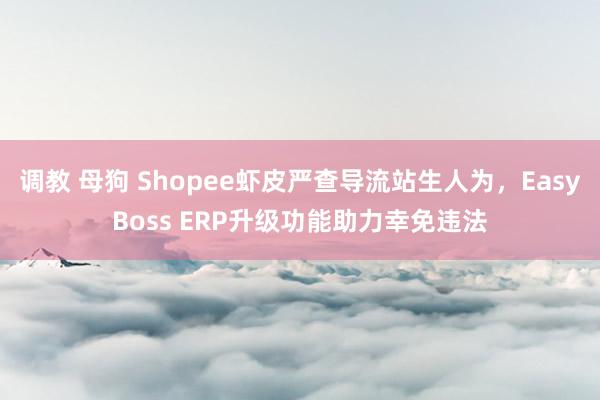 调教 母狗 Shopee虾皮严查导流站生人为，EasyBoss ERP升级功能助力幸免违法