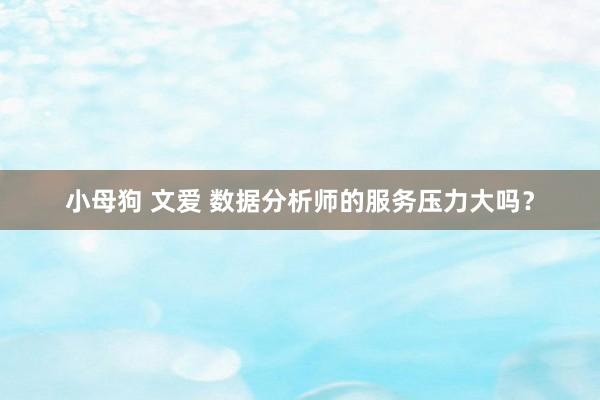 小母狗 文爱 数据分析师的服务压力大吗？