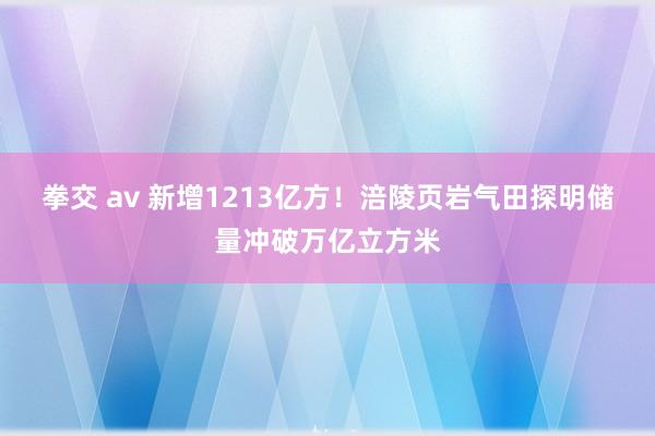 拳交 av 新增1213亿方！涪陵页岩气田探明储量冲破万亿立方米