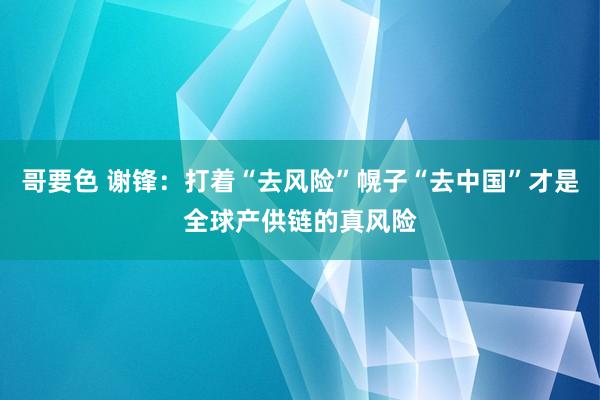 哥要色 谢锋：打着“去风险”幌子“去中国”才是全球产供链的真风险