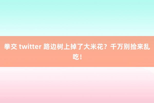 拳交 twitter 路边树上掉了大米花？千万别捡来乱吃！