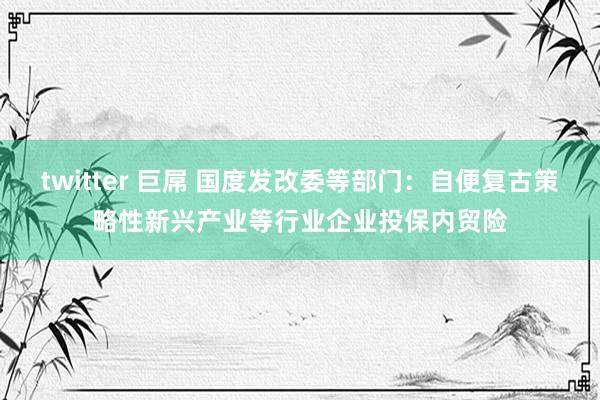 twitter 巨屌 国度发改委等部门：自便复古策略性新兴产业等行业企业投保内贸险