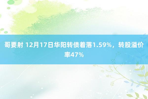 哥要射 12月17日华阳转债着落1.59%，转股溢价率47%