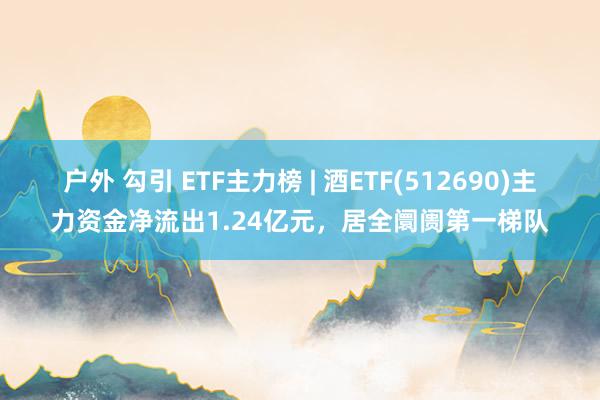 户外 勾引 ETF主力榜 | 酒ETF(512690)主力资金净流出1.24亿元，居全阛阓第一梯队