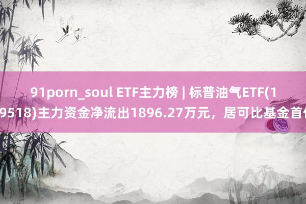 91porn_soul ETF主力榜 | 标普油气ETF(159518)主力资金净流出1896.27万元，居可比基金首位