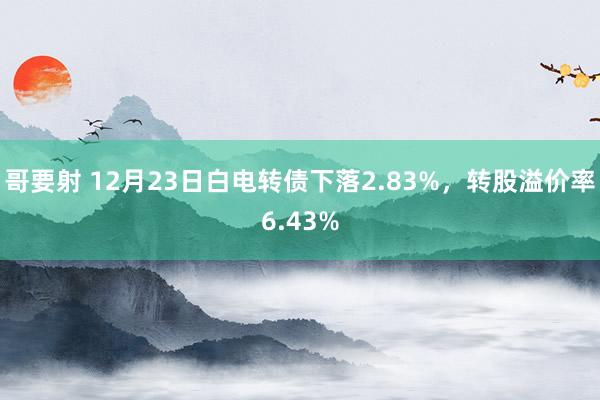 哥要射 12月23日白电转债下落2.83%，转股溢价率6.43%