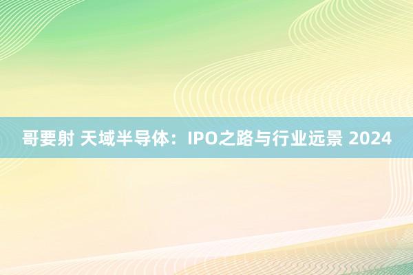 哥要射 天域半导体：IPO之路与行业远景 2024