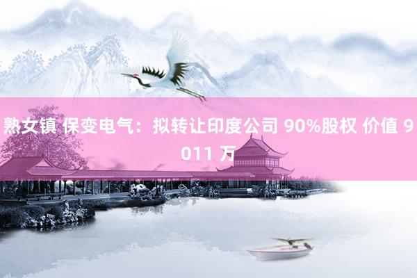 熟女镇 保变电气：拟转让印度公司 90%股权 价值 9011 万