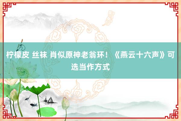 柠檬皮 丝袜 肖似原神老翁环！《燕云十六声》可选当作方式