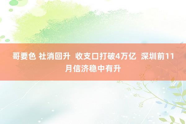 哥要色 社消回升  收支口打破4万亿  深圳前11月信济稳中有升