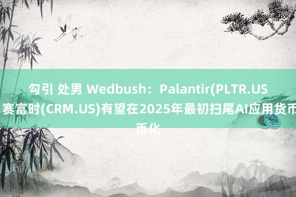 勾引 处男 Wedbush：Palantir(PLTR.US)、赛富时(CRM.US)有望在2025年最初扫尾AI应用货币化