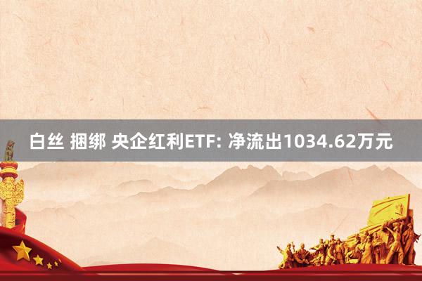 白丝 捆绑 央企红利ETF: 净流出1034.62万元