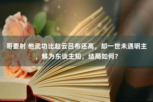 哥要射 他武功比赵云吕布还高，却一世未遇明主，鲜为东谈主知，结局如何？