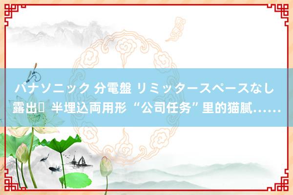 パナソニック 分電盤 リミッタースペースなし 露出・半埋込両用形 “公司任务”里的猫腻……