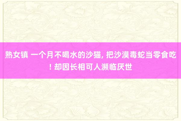 熟女镇 一个月不喝水的沙猫, 把沙漠毒蛇当零食吃! 却因长相可人濒临厌世