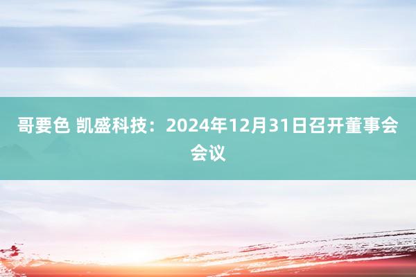 哥要色 凯盛科技：2024年12月31日召开董事会会议