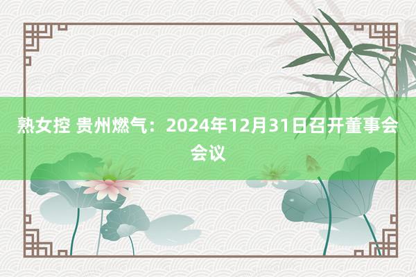 熟女控 贵州燃气：2024年12月31日召开董事会会议