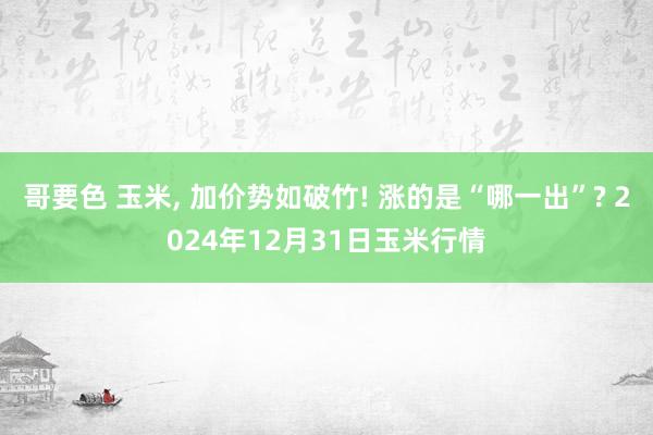 哥要色 玉米, 加价势如破竹! 涨的是“哪一出”? 2024年12月31日玉米行情