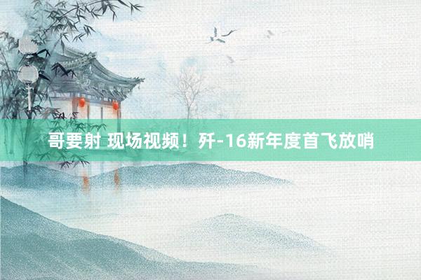 哥要射 现场视频！歼-16新年度首飞放哨