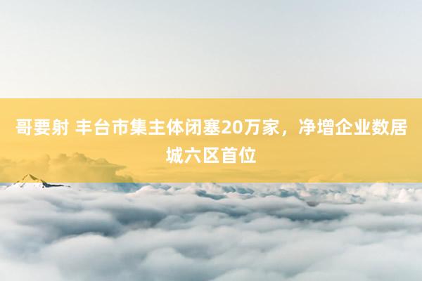 哥要射 丰台市集主体闭塞20万家，净增企业数居城六区首位