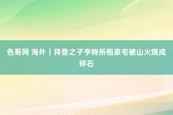 色哥网 海外｜拜登之子亨特所租豪宅被山火烧成碎石