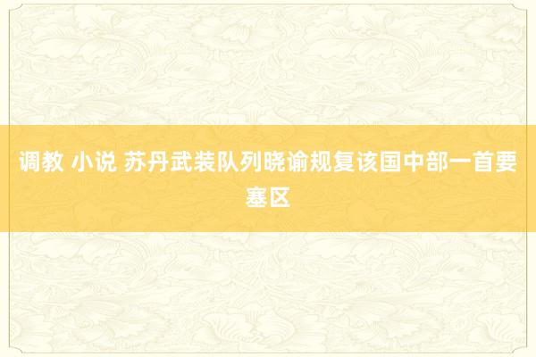 调教 小说 苏丹武装队列晓谕规复该国中部一首要塞区