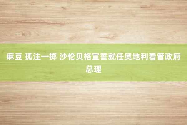 麻豆 孤注一掷 沙伦贝格宣誓就任奥地利看管政府总理