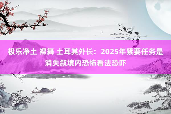 极乐净土 裸舞 土耳其外长：2025年紧要任务是消失叙境内恐怖看法恐吓