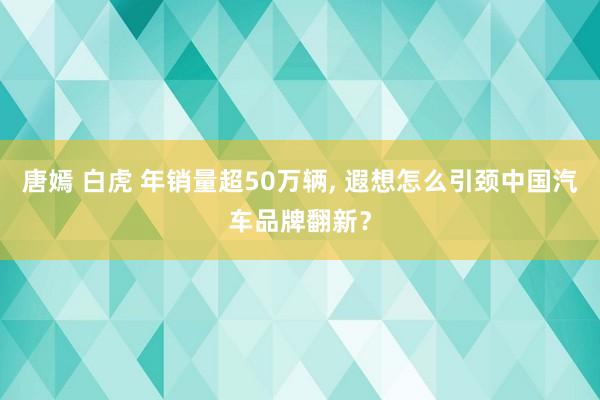 唐嫣 白虎 年销量超50万辆, 遐想怎么引颈中国汽车品牌翻新？